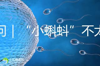 追問｜“小蝌蚪”不太給力，一代二代試管嬰兒技術(shù)哪個強(qiáng)？