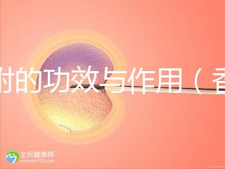 香附的功效與作用（香附的功效與作用主要治什么病）