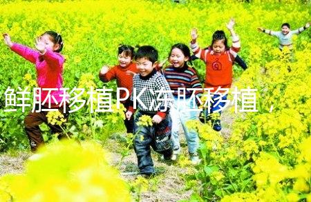 鮮胚移植PK凍胚移植,二者區(qū)別告訴你哪個(gè)好