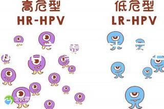 6個胚胎養(yǎng)囊成功率是多大答案在這，能配成3個機(jī)會就大