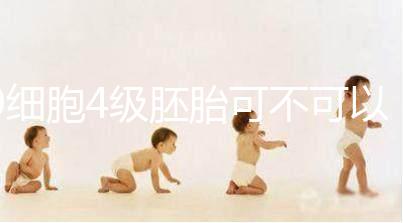 9細(xì)胞4級(jí)胚胎可不可以移植,看完質(zhì)量差不差再下定論