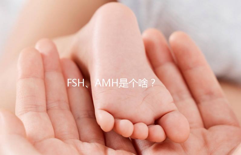 FSH、AMH是個啥?卵巢功能好不好看這些指標(biāo)!