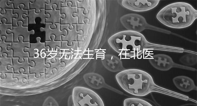 36歲無法生育，在北醫三院做人工授精成功率有多少？