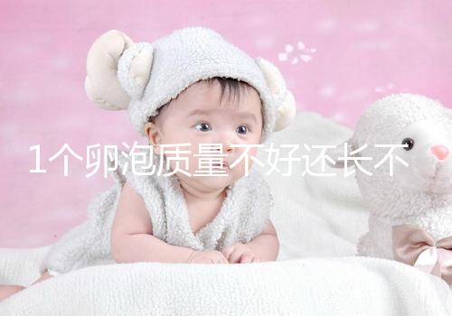 1個卵泡質量不好還長不大，如何提高試管嬰兒懷孕成功率？