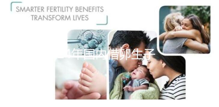 2024年國內借卵生子私立醫院哪里最好？上海集愛排名前三