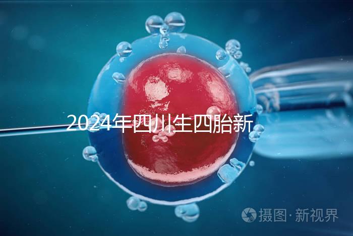 2024年四川生四胎新政策罰款多少分區，答案在這里自取
