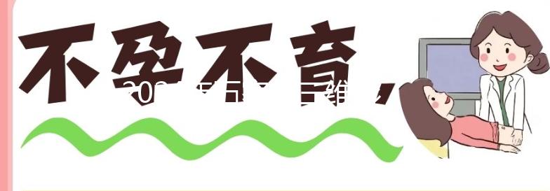 2024年石家莊三維彩超價格公布，想在哪里制作裕華好戳