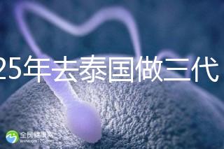 2025年去泰國(guó)做三代試管助孕費(fèi)用大曝光?具體要花費(fèi)多少錢(qián)
