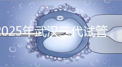 2025年武漢三代試管助孕比較新價(jià)格:8萬至15萬,費(fèi)用明細(xì)公開!